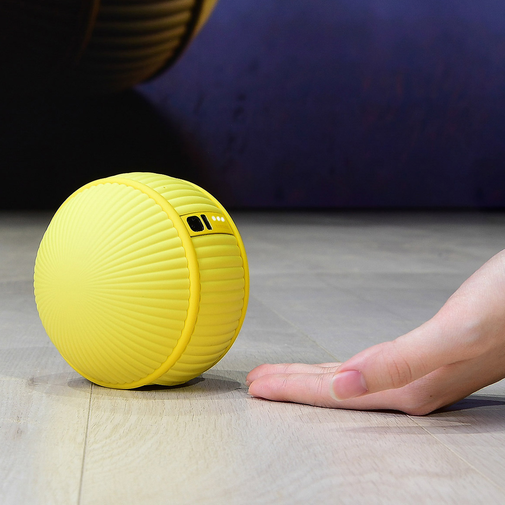 Consumer Electronics Show，ai，artificial intelligence，robot，