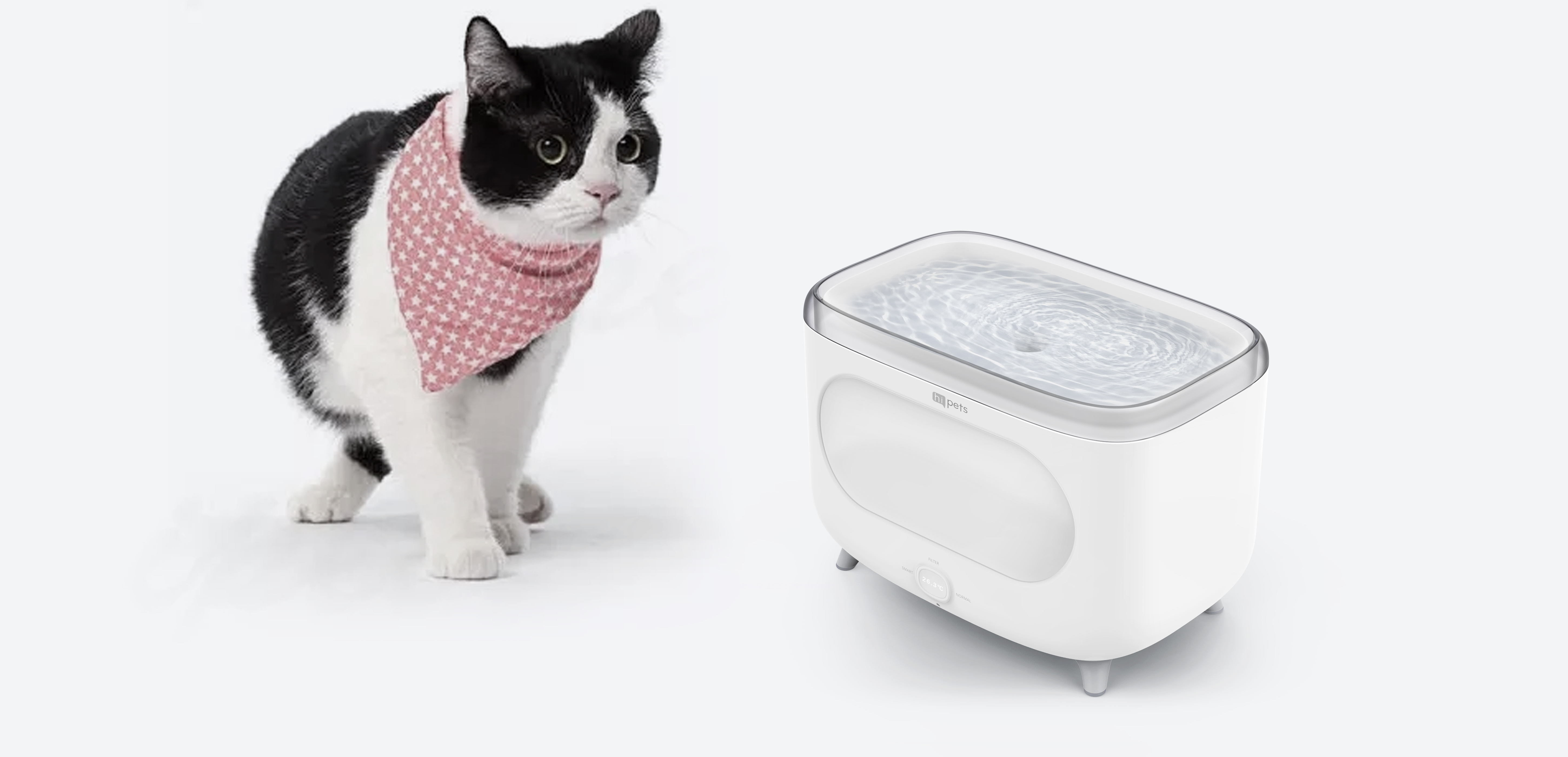 Cat star man，Pet products，Pet water dispenser，healthy，