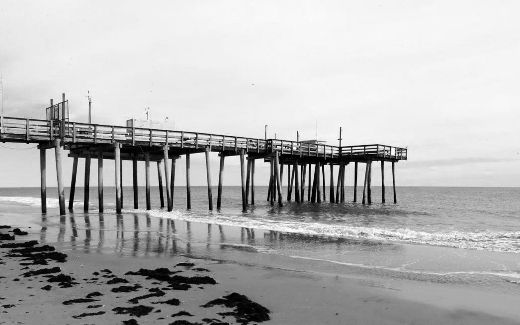 Furniture，tree，Bench，