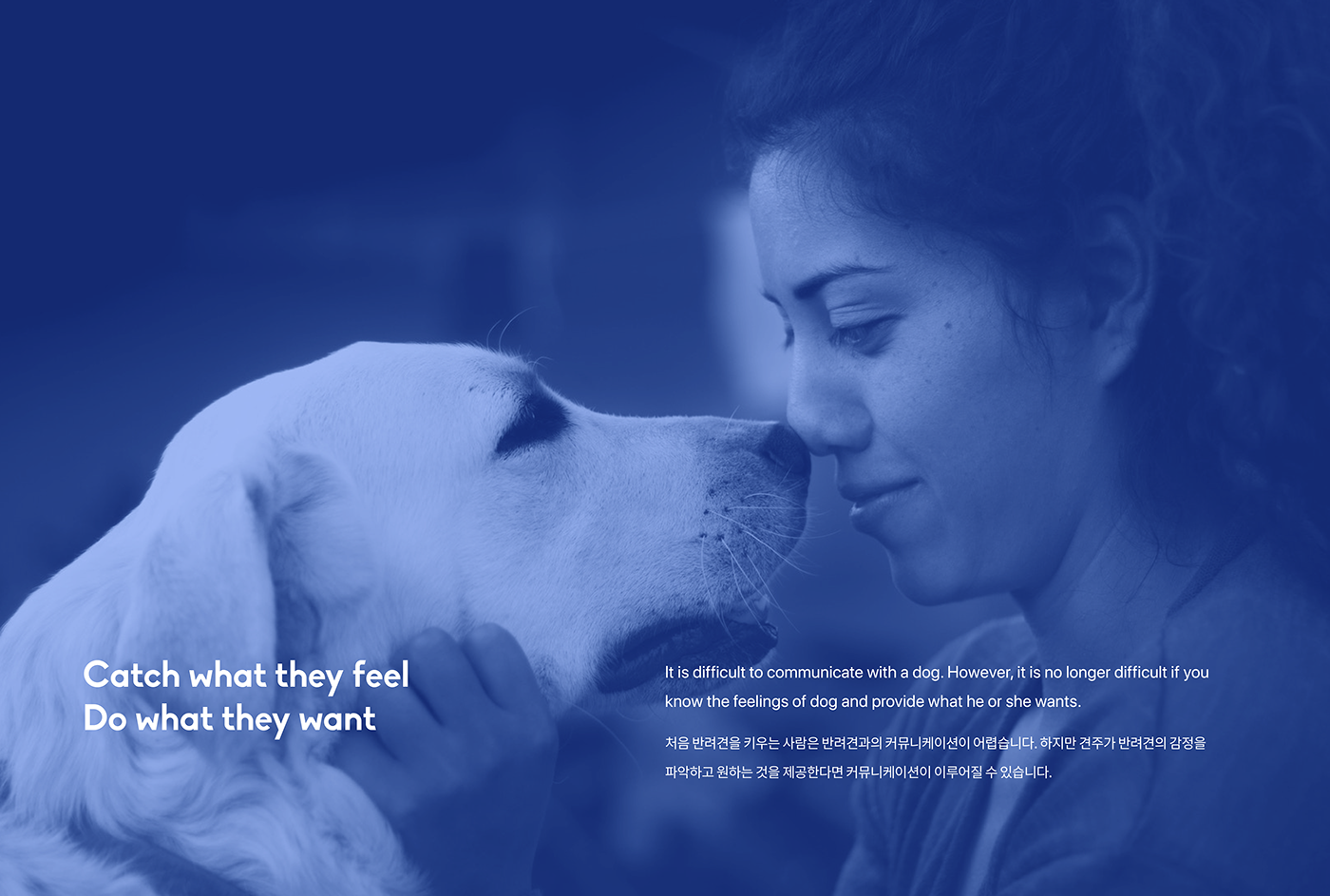 communicate，pingpong，app，Pets，