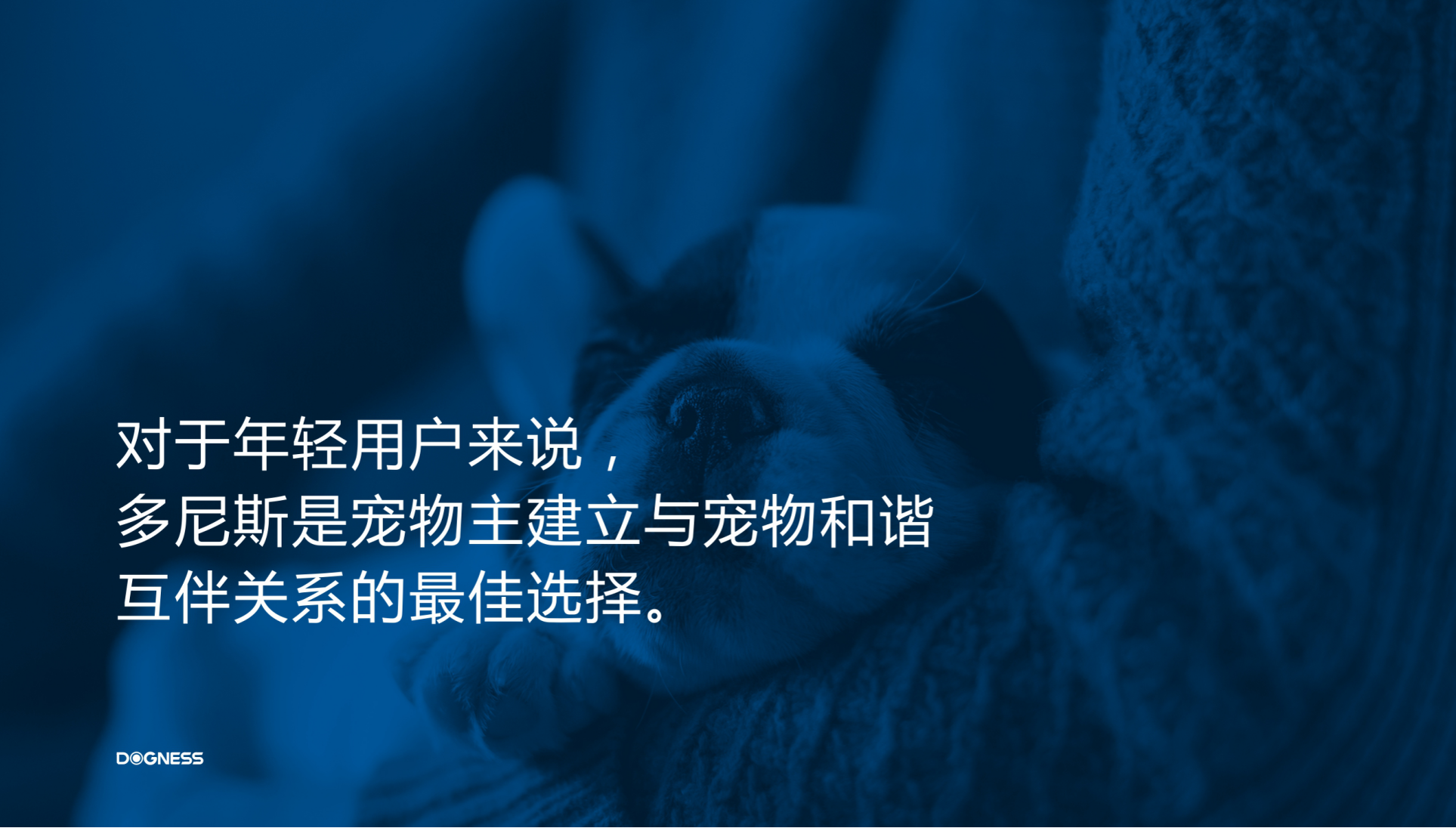 Brand positioning strategy，VI design，packing design，Brand annual service design，Brand design，Brand remodeling and upgrading，