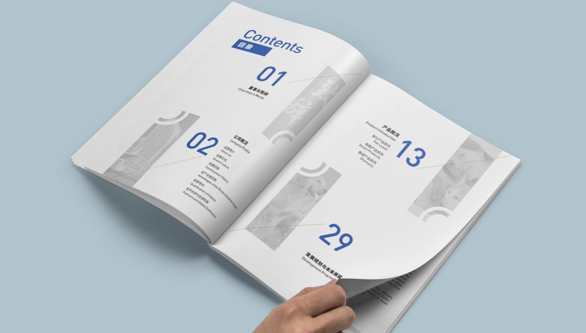 Brand positioning strategy，VI design，packing design，Brand annual service design，Brand design，Brand remodeling and upgrading，