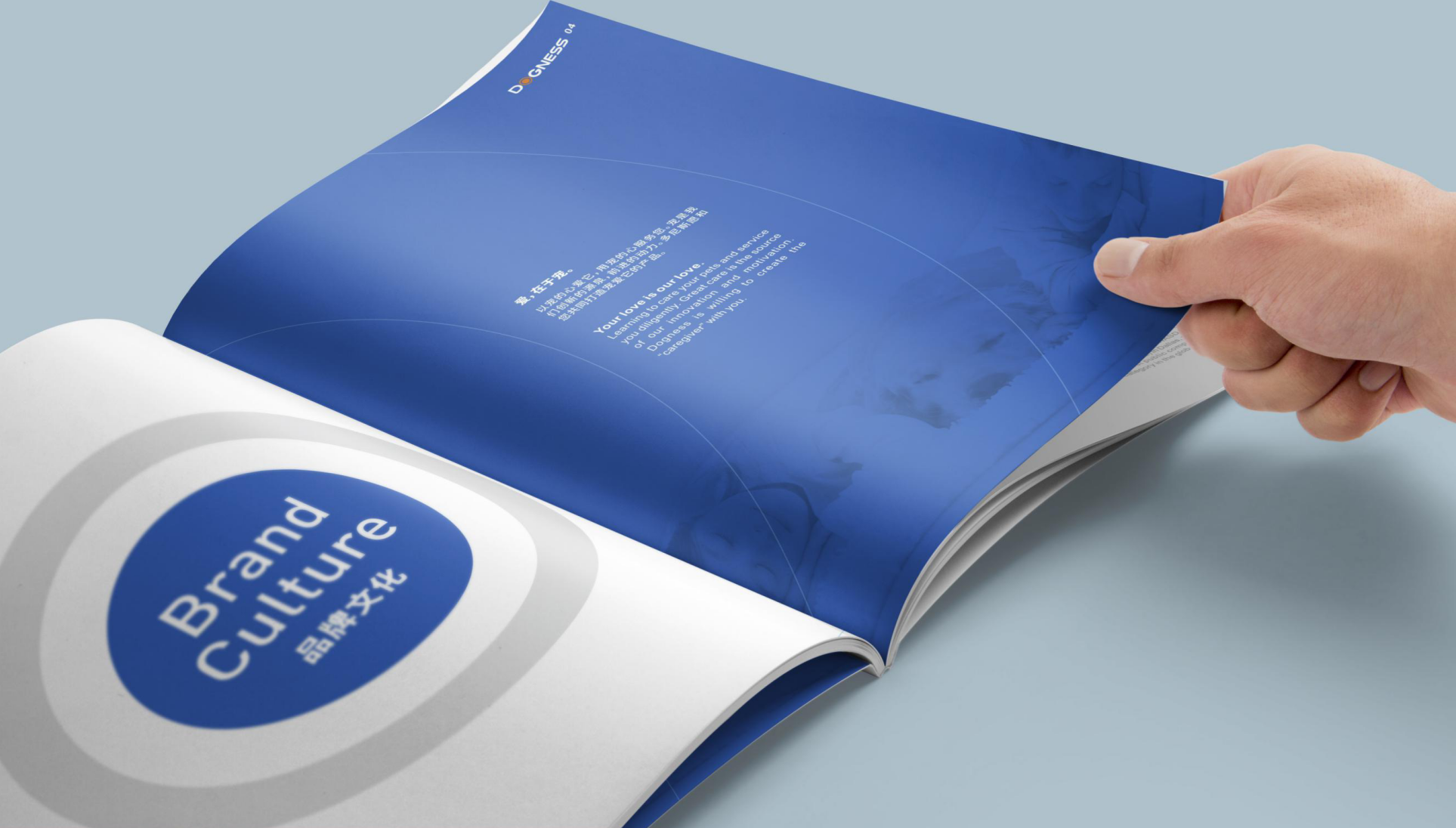 Brand positioning strategy，VI design，packing design，Brand annual service design，Brand design，Brand remodeling and upgrading，