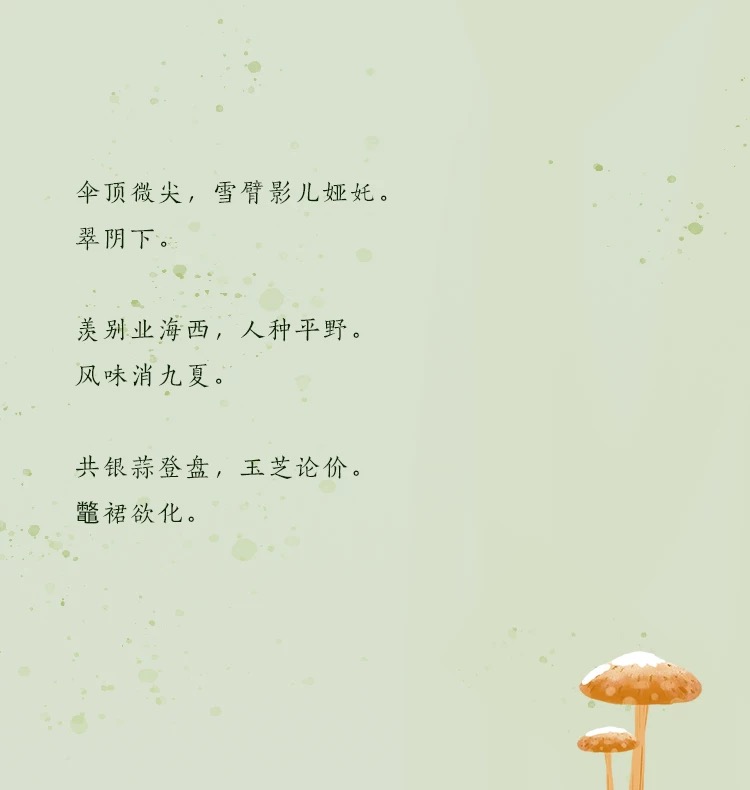 Lamps, original, wooden, chandelier，