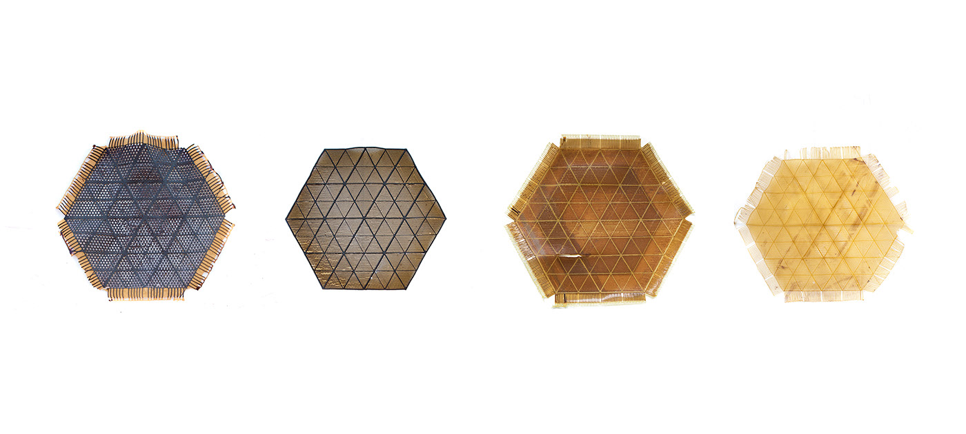 Aguahoja，space，Parameterization，Information modeling，Biological composite，