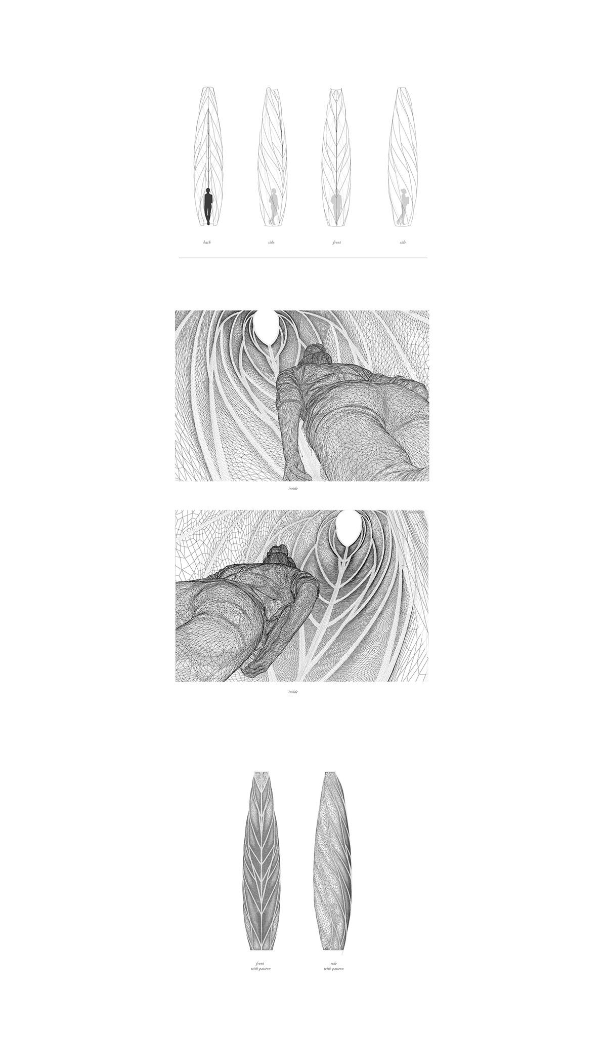 Aguahoja，space，Parameterization，Information modeling，Biological composite，