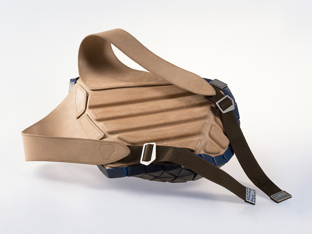 knapsack，Phoresy Pack，parameter，User participation in design，