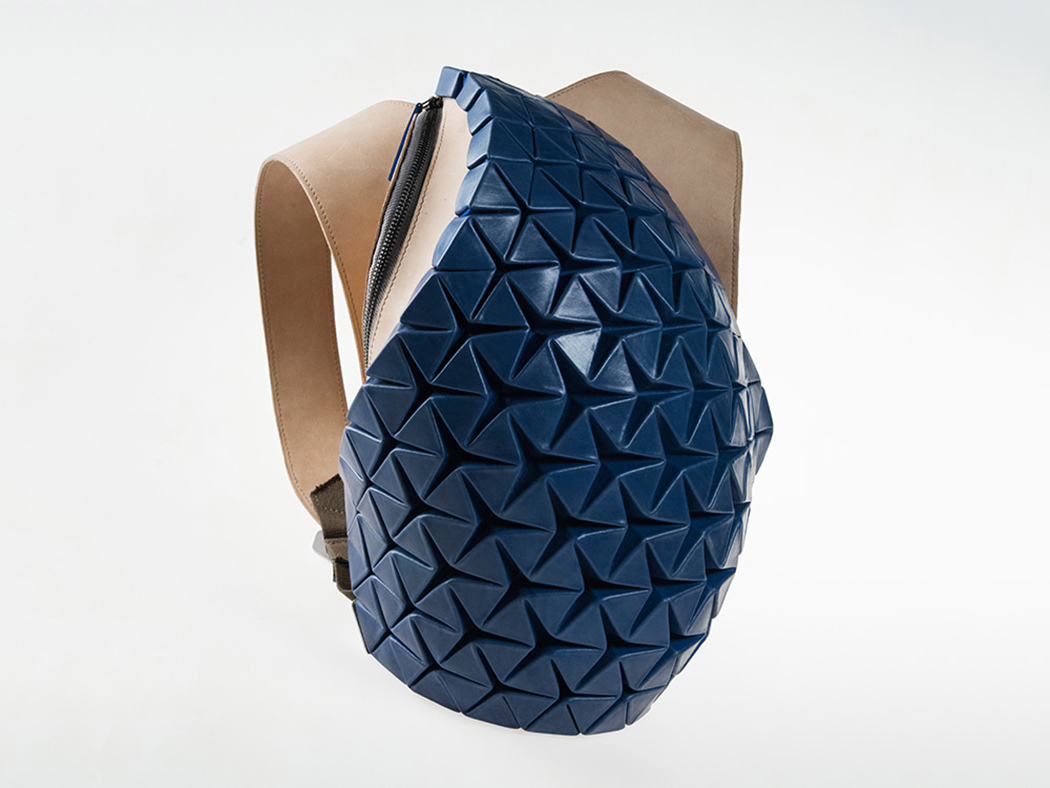 knapsack，Phoresy Pack，parameter，User participation in design，