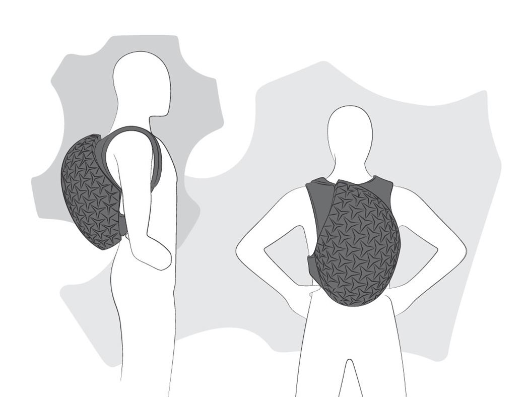 knapsack，Phoresy Pack，parameter，User participation in design，