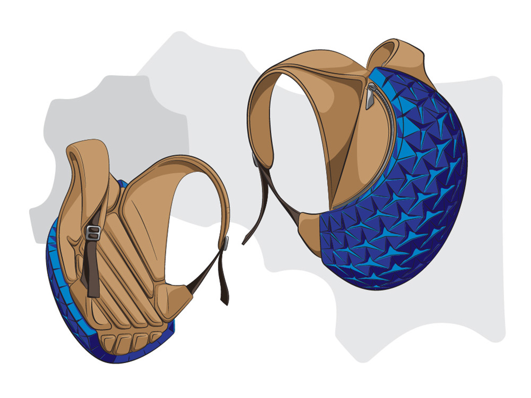 knapsack，Phoresy Pack，parameter，User participation in design，