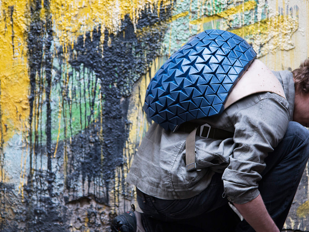 knapsack，Phoresy Pack，parameter，User participation in design，