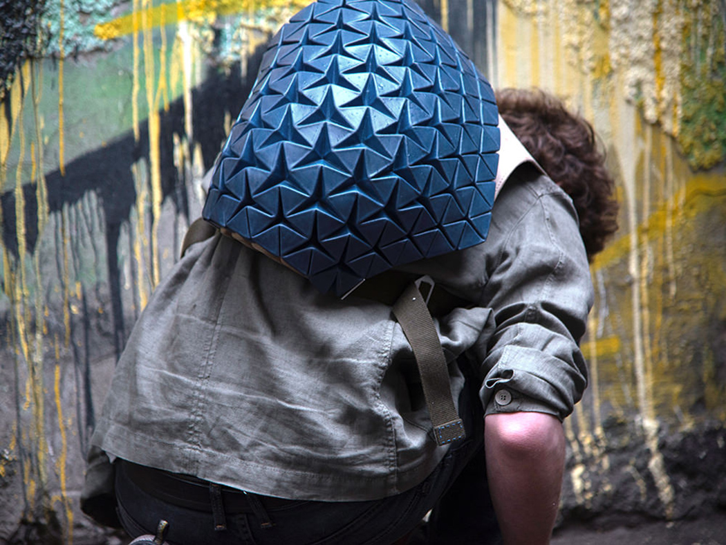 knapsack，Phoresy Pack，parameter，User participation in design，