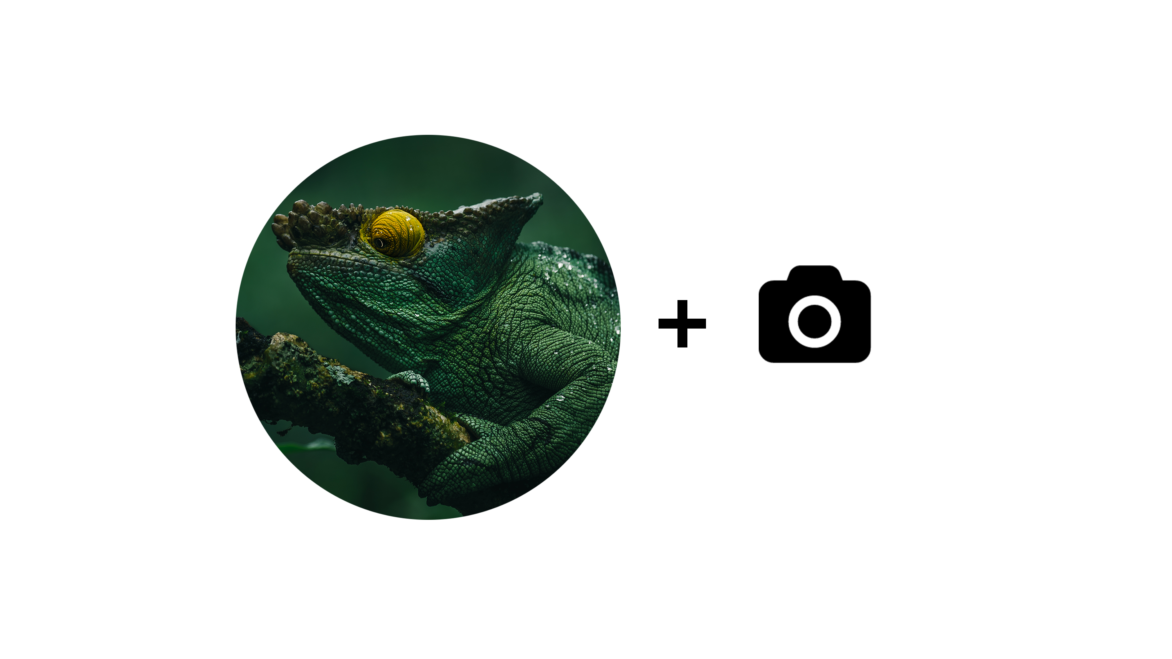 camera，children，Children's camera，product design，industrial design，Sunrise impression，Print camera，