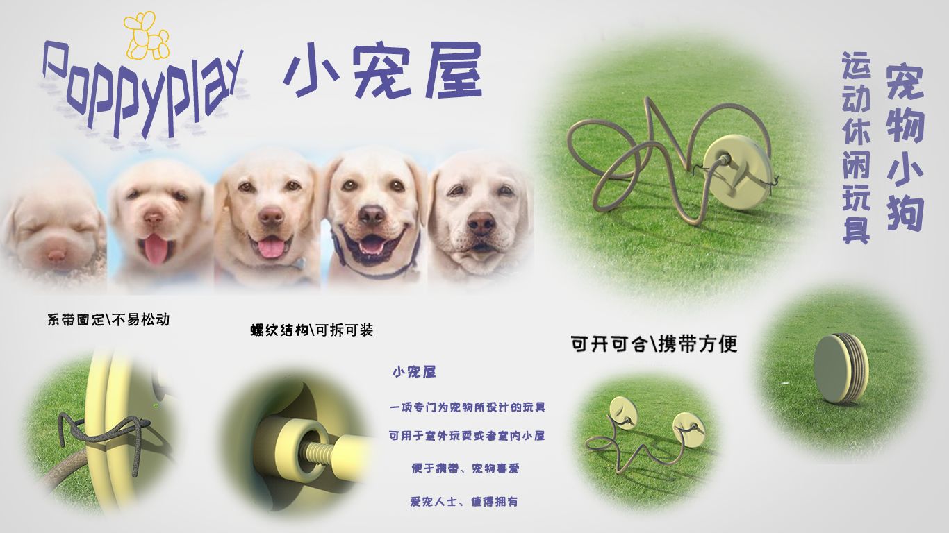 Pets，outdoors，Toys，