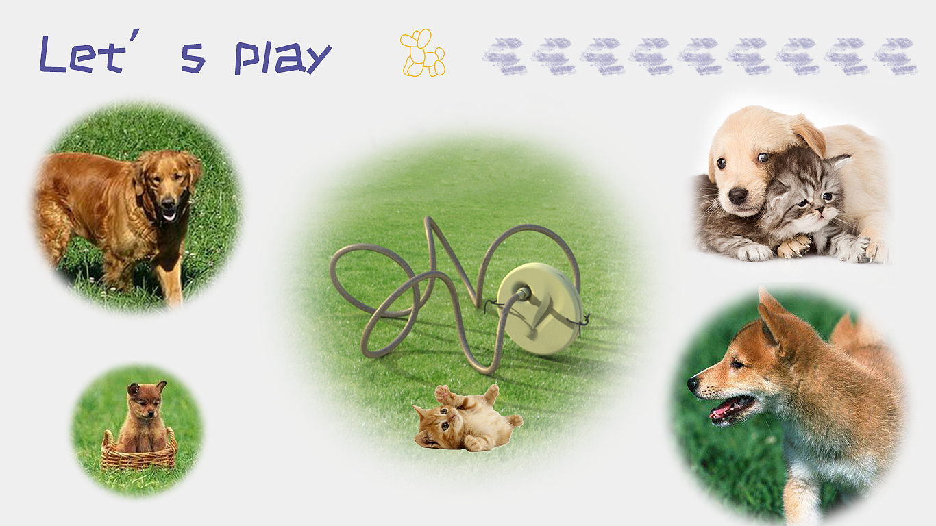 Pets，outdoors，Toys，