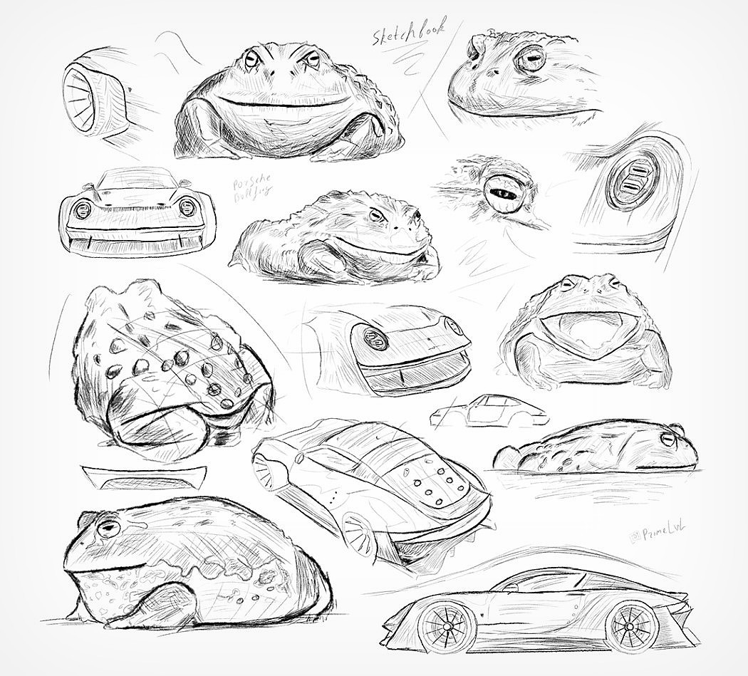 Porsche，Hand drawn，animal，Appearance design，