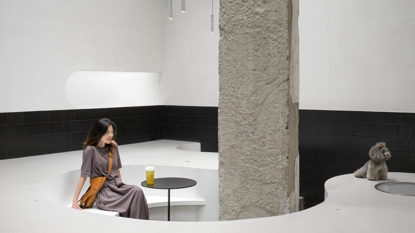 Design，Simplicity，Beauty Salon，Hangzhou，Pets，Architecture，