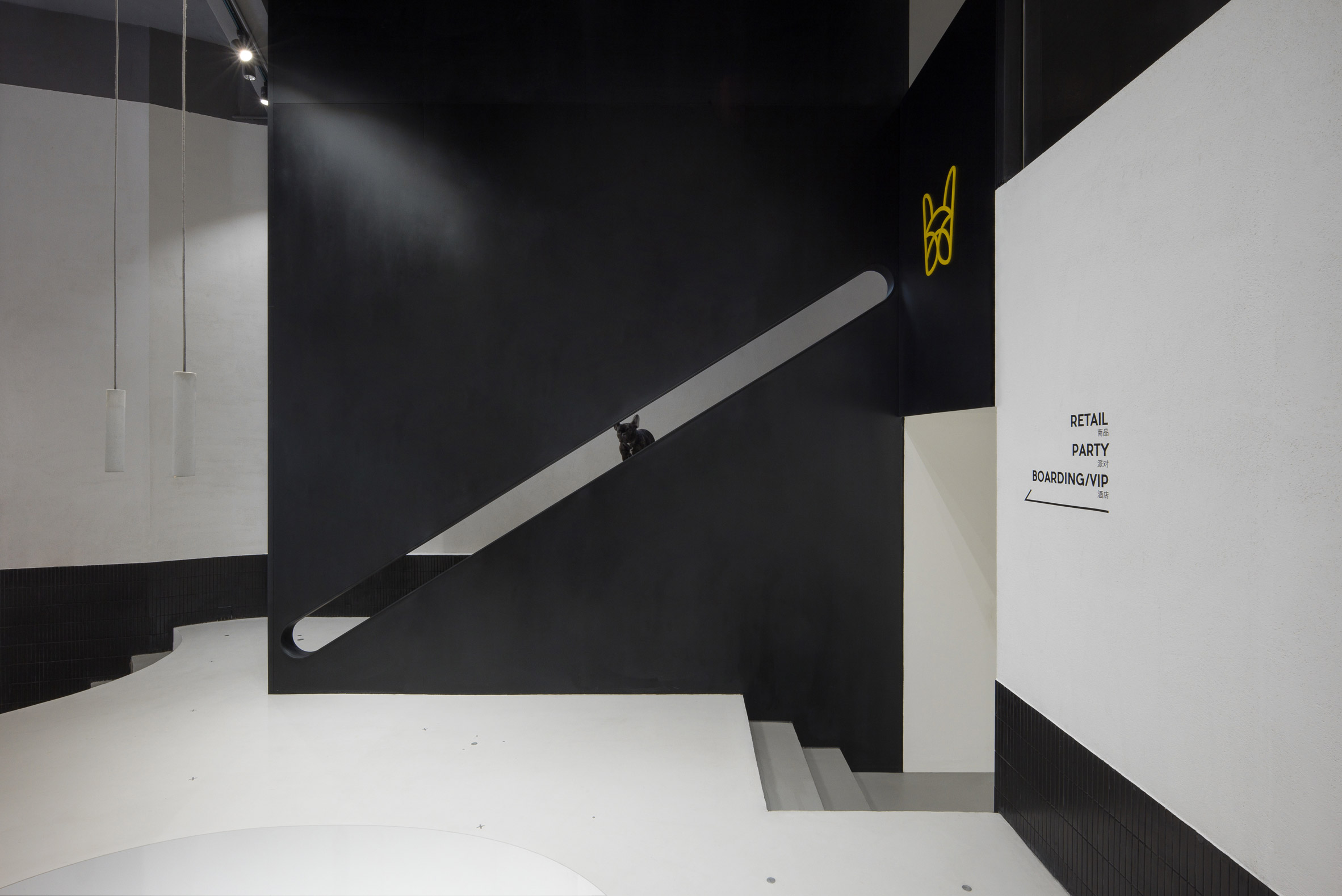 Design，Simplicity，Beauty Salon，Hangzhou，Pets，Architecture，