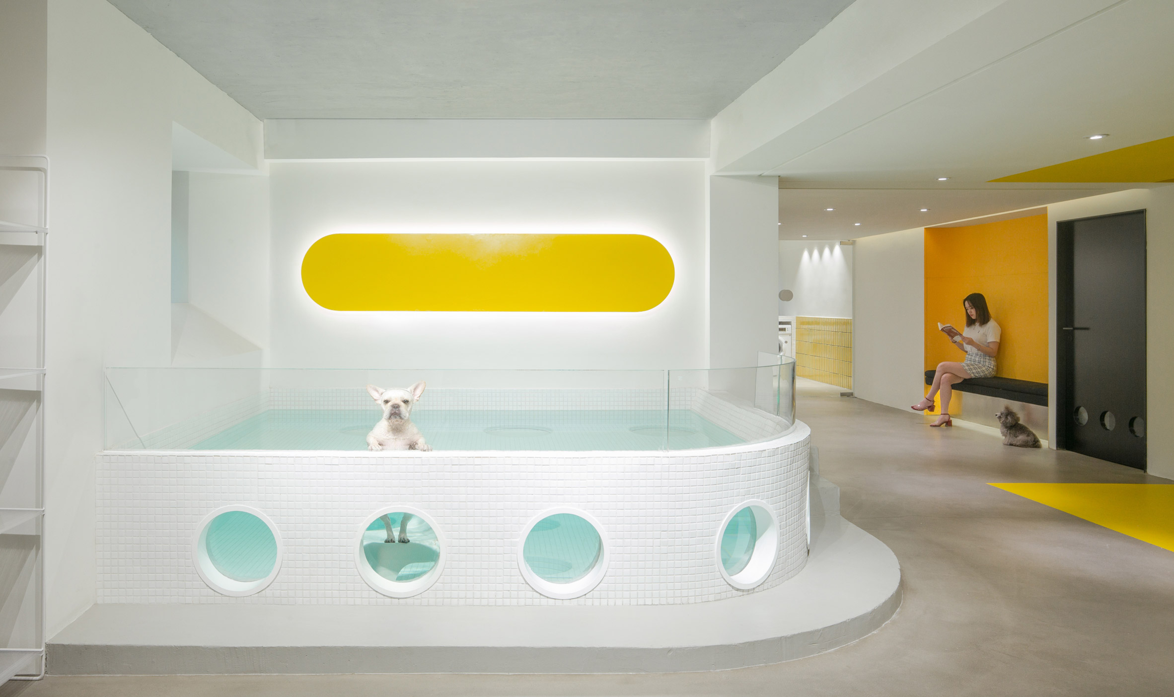 Design，Simplicity，Beauty Salon，Hangzhou，Pets，Architecture，