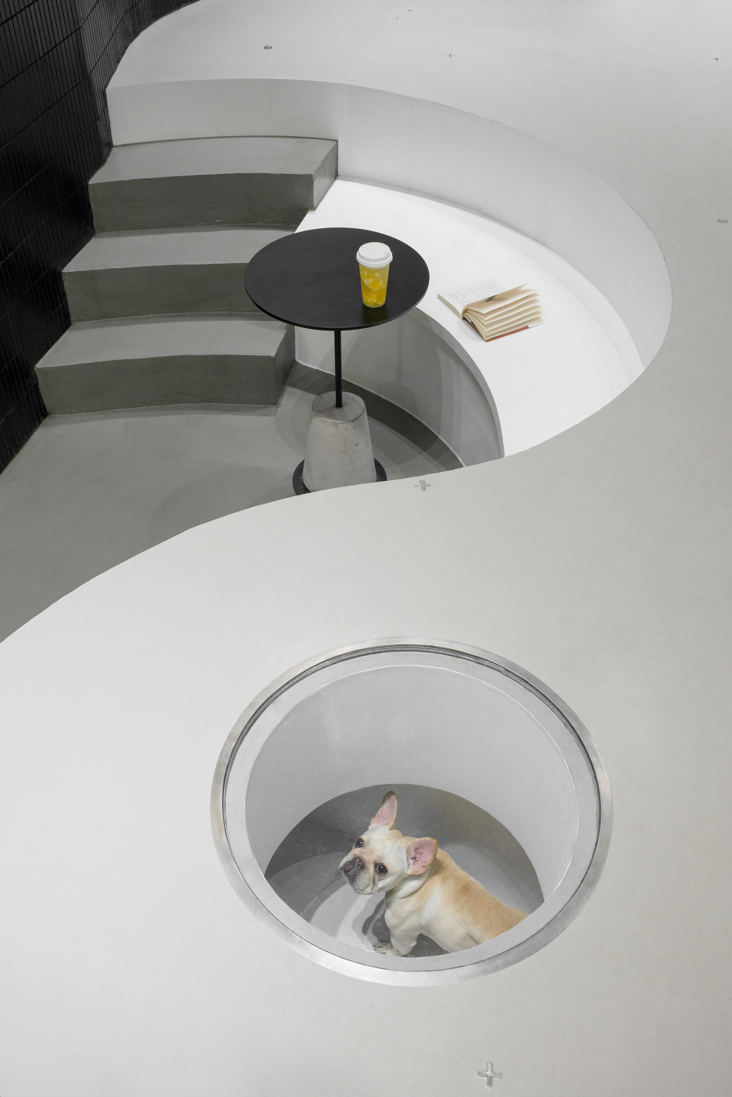 Design，Simplicity，Beauty Salon，Hangzhou，Pets，Architecture，