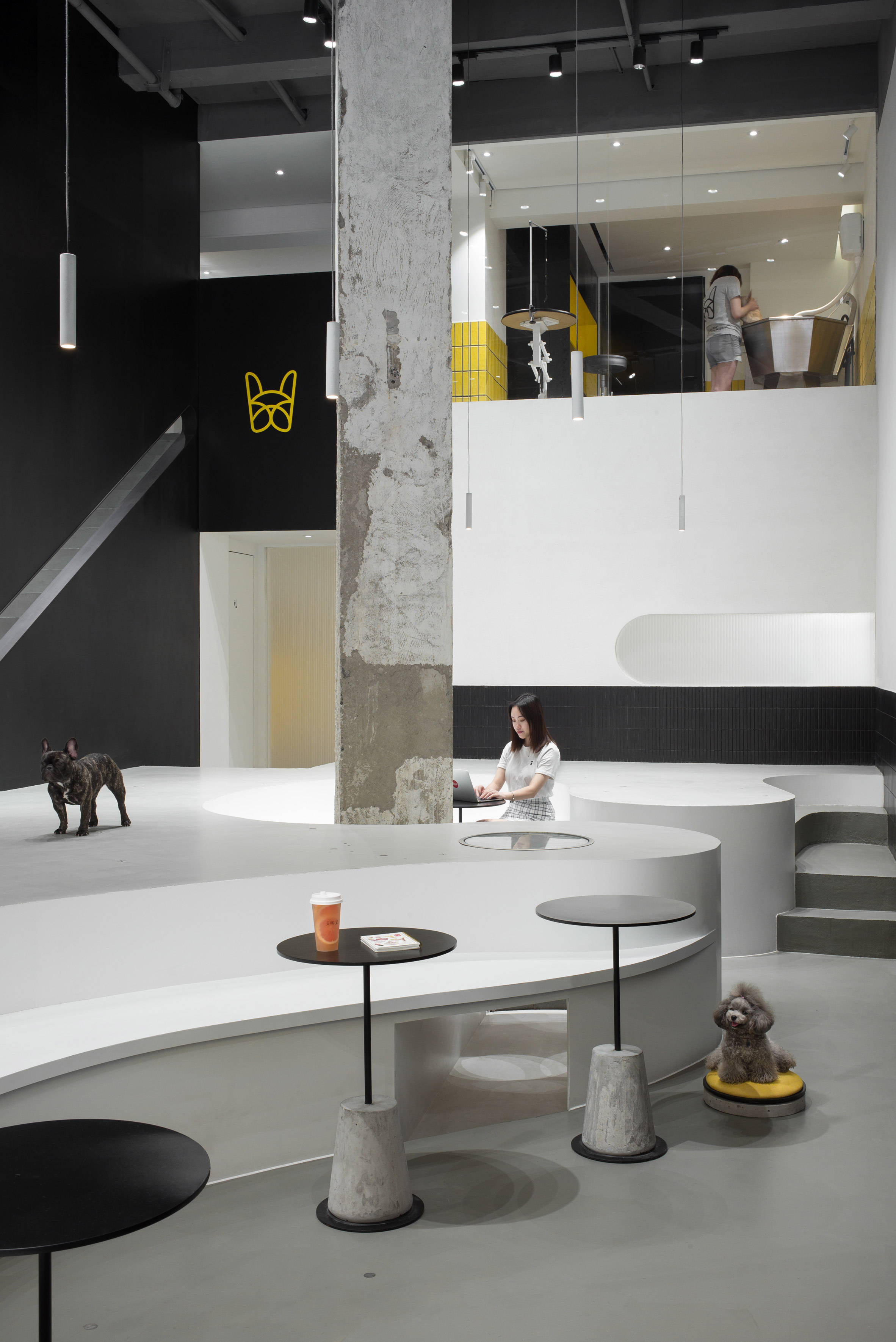 Design，Simplicity，Beauty Salon，Hangzhou，Pets，Architecture，