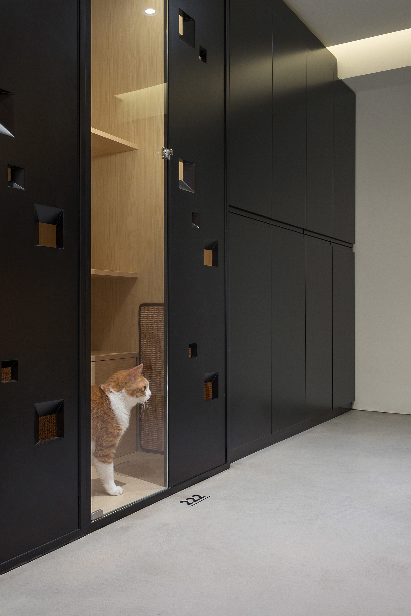 Design，Simplicity，Beauty Salon，Hangzhou，Pets，Architecture，