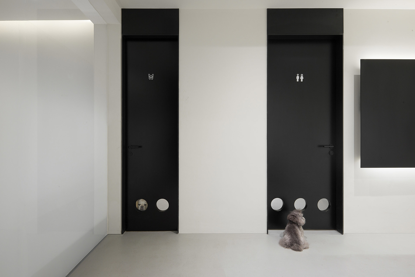 Design，Simplicity，Beauty Salon，Hangzhou，Pets，Architecture，