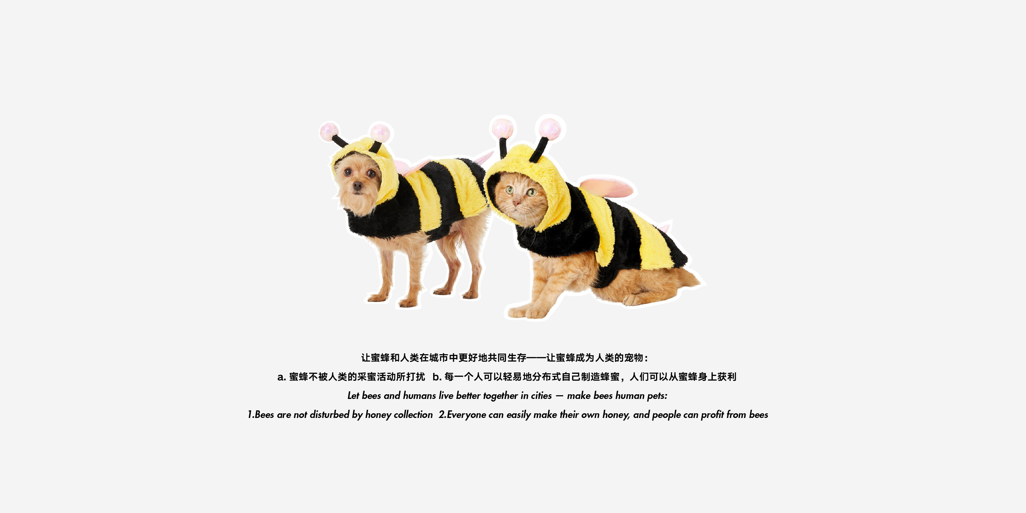 conceptual design，Future design，Sustainable design，industrial design，