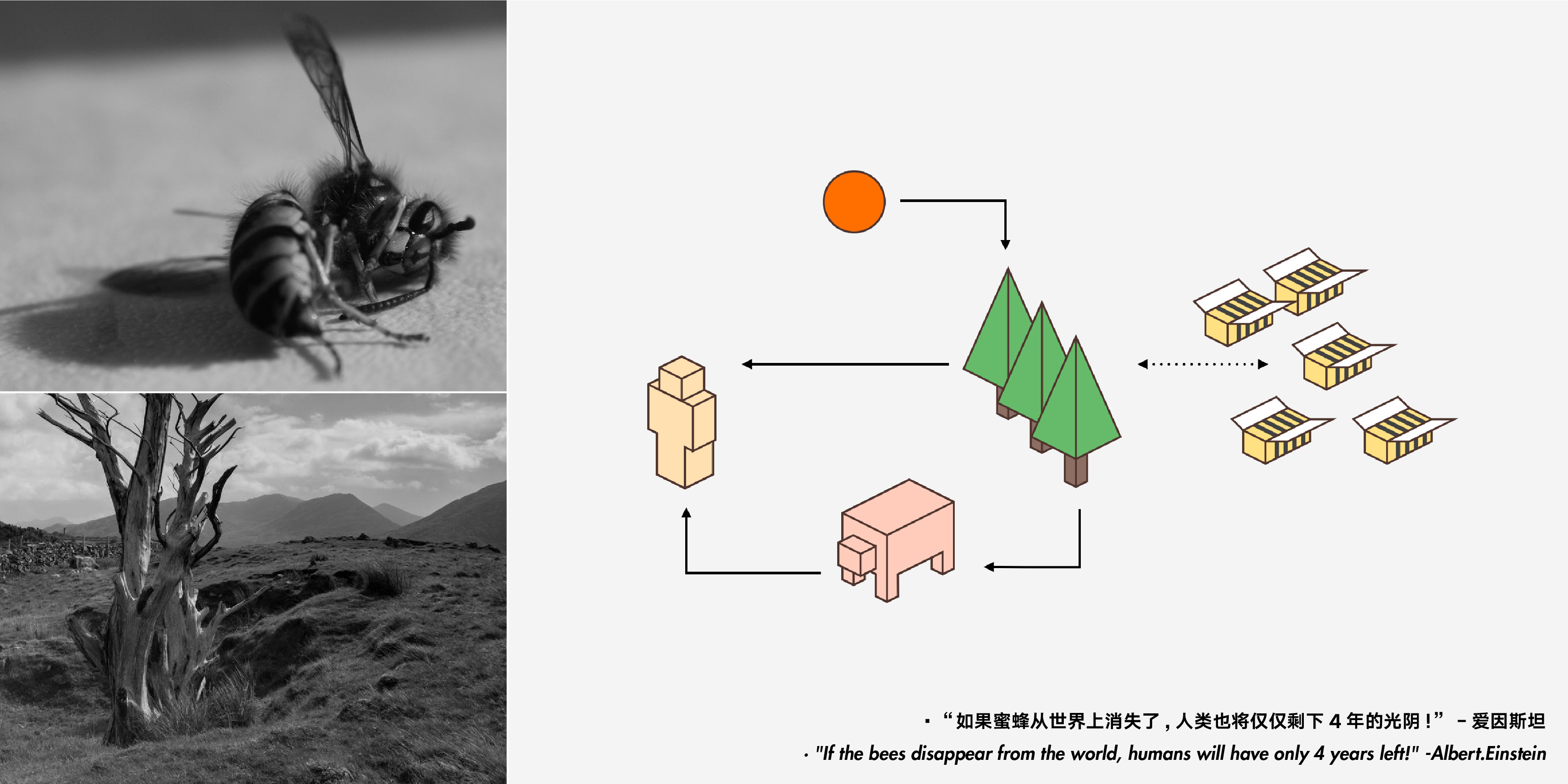 conceptual design，Future design，Sustainable design，industrial design，