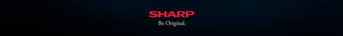 Audio system，SHARP，Italy，