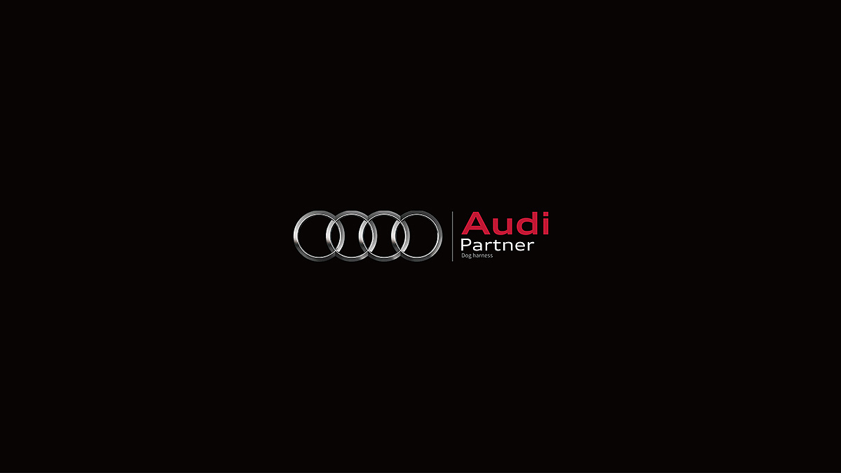 industrial design，product design，audi，Traction rope，Pets，