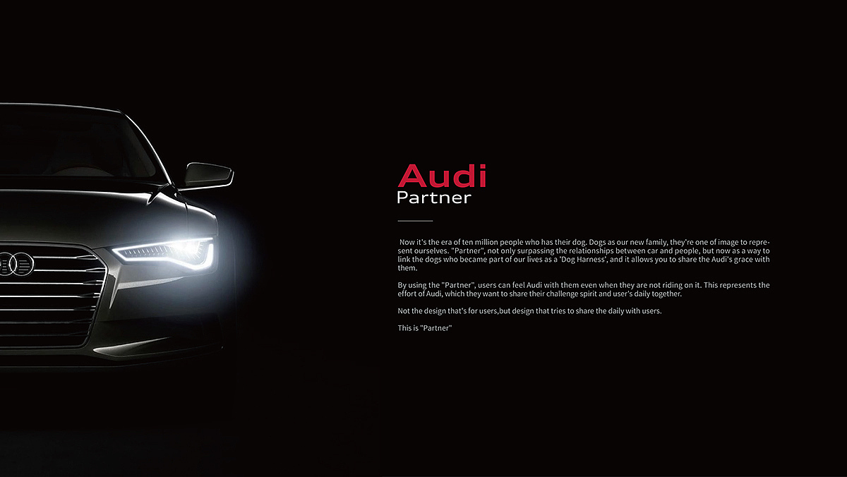 industrial design，product design，audi，Traction rope，Pets，