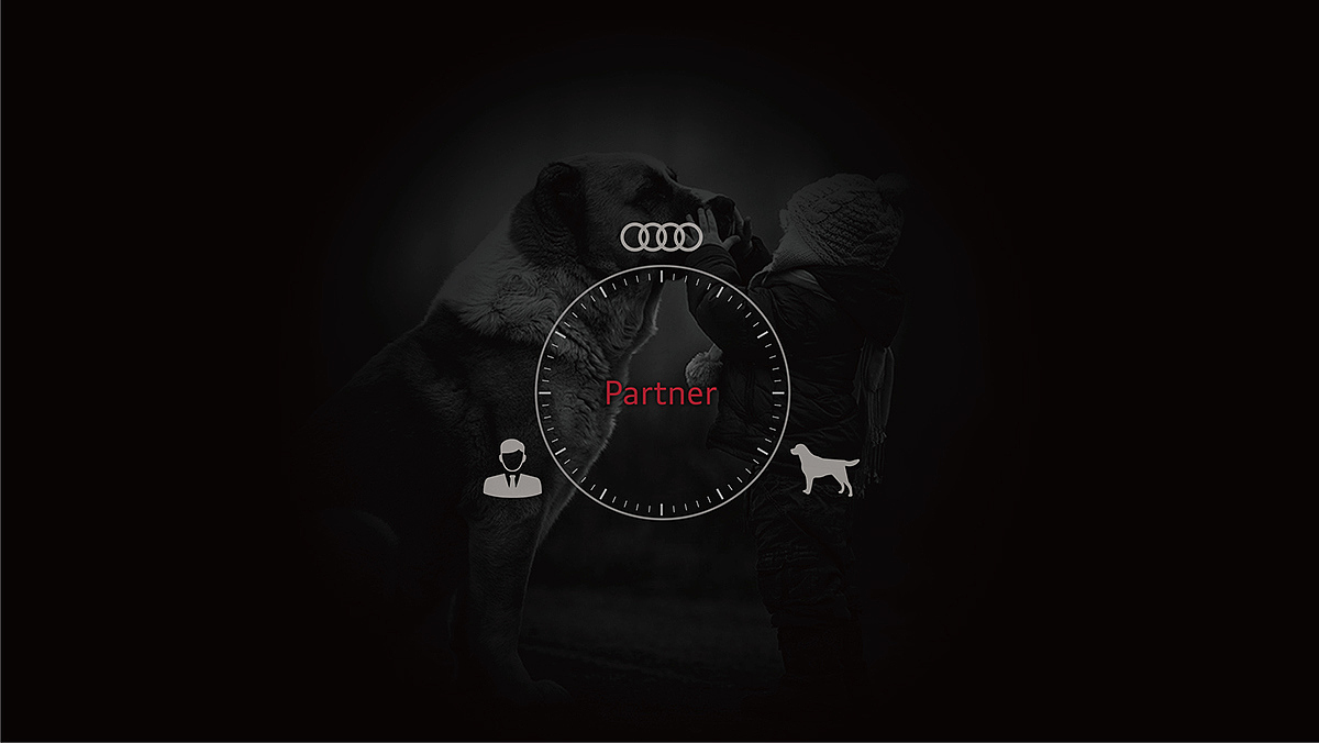 industrial design，product design，audi，Traction rope，Pets，