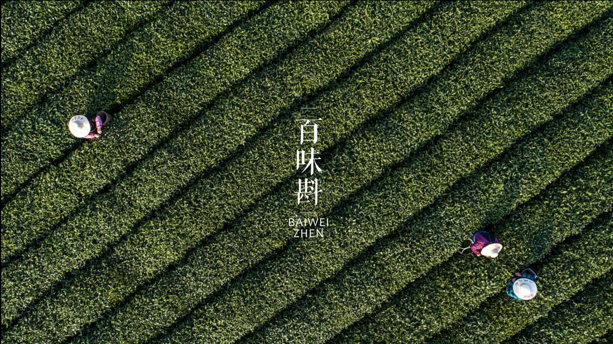 Independent brand design，