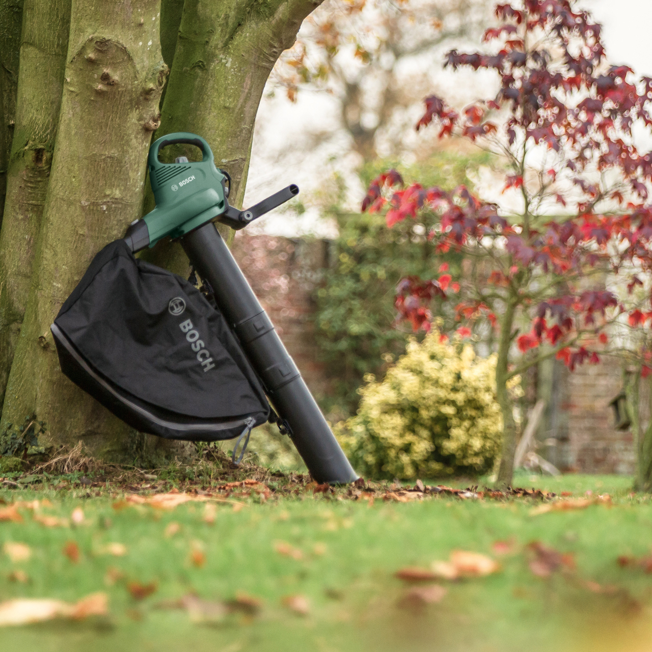 Qisi design，Leaf blower，garden，Bosch ，