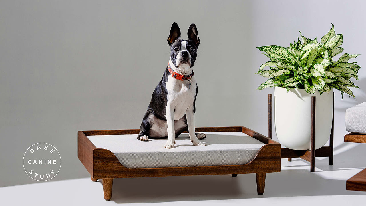 furniture，Pets，Sitting and lying bench，solid wood，Modern，