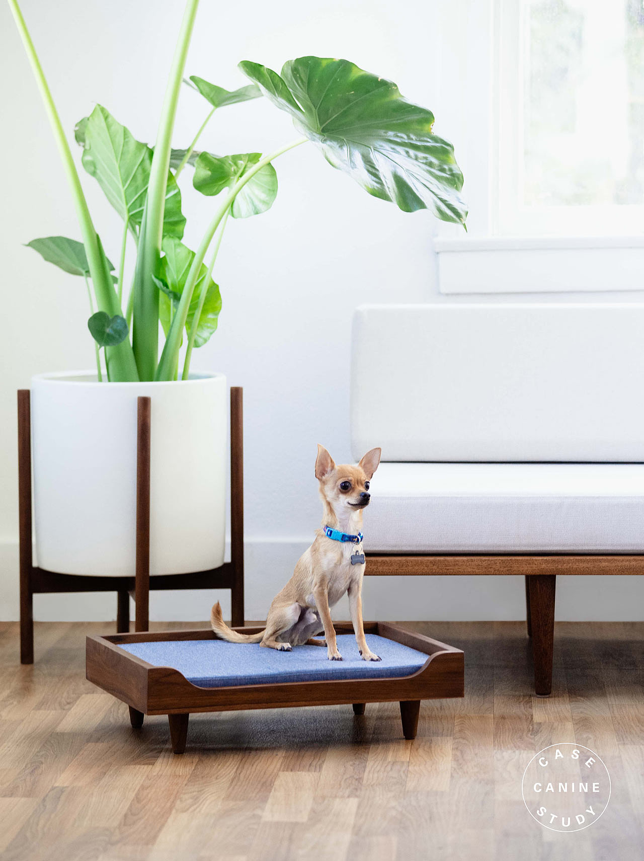 furniture，Pets，Sitting and lying bench，solid wood，Modern，