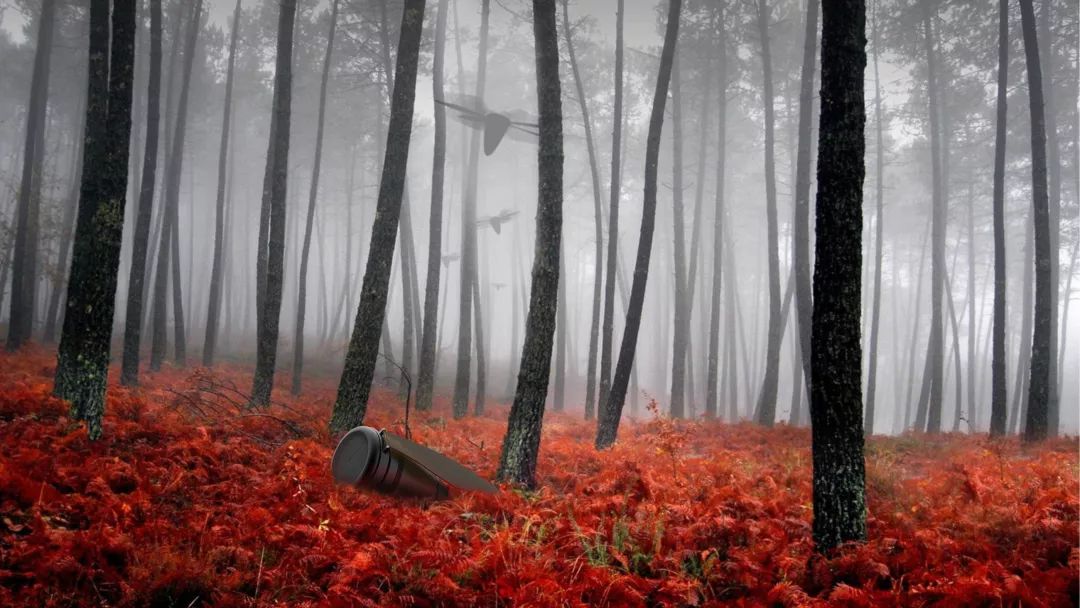 Other people's works，