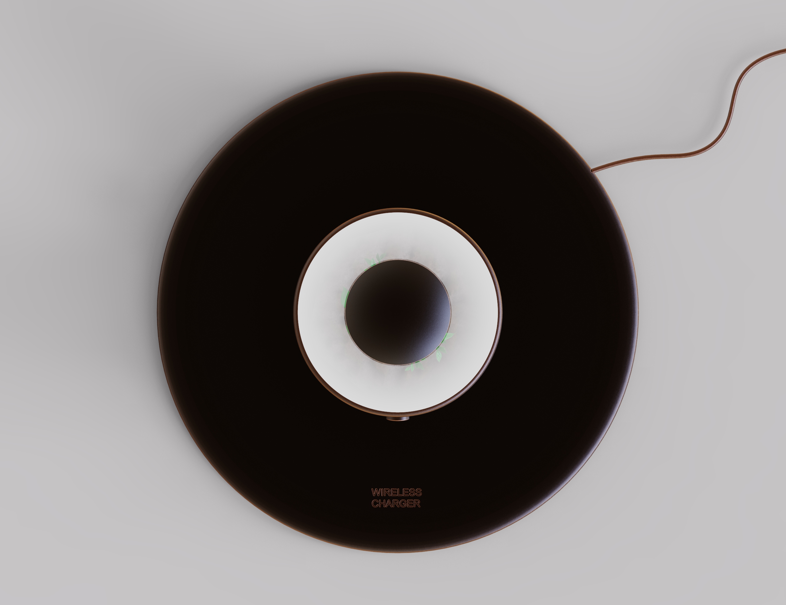 Home Furnishing，Space，Botany，