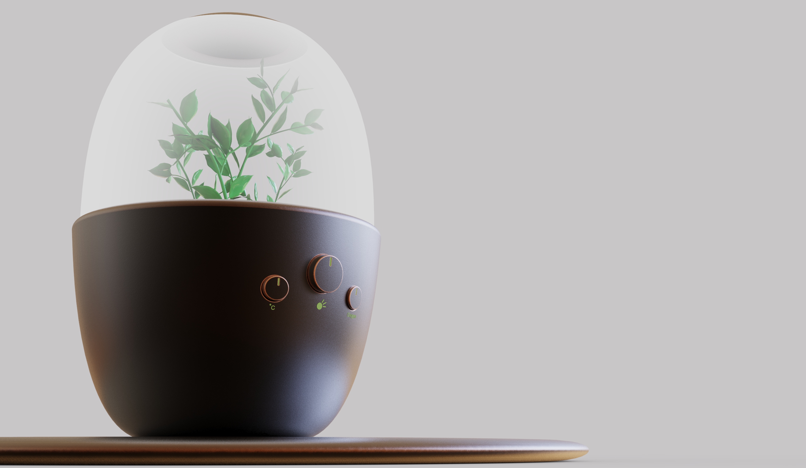 Home Furnishing，Space，Botany，