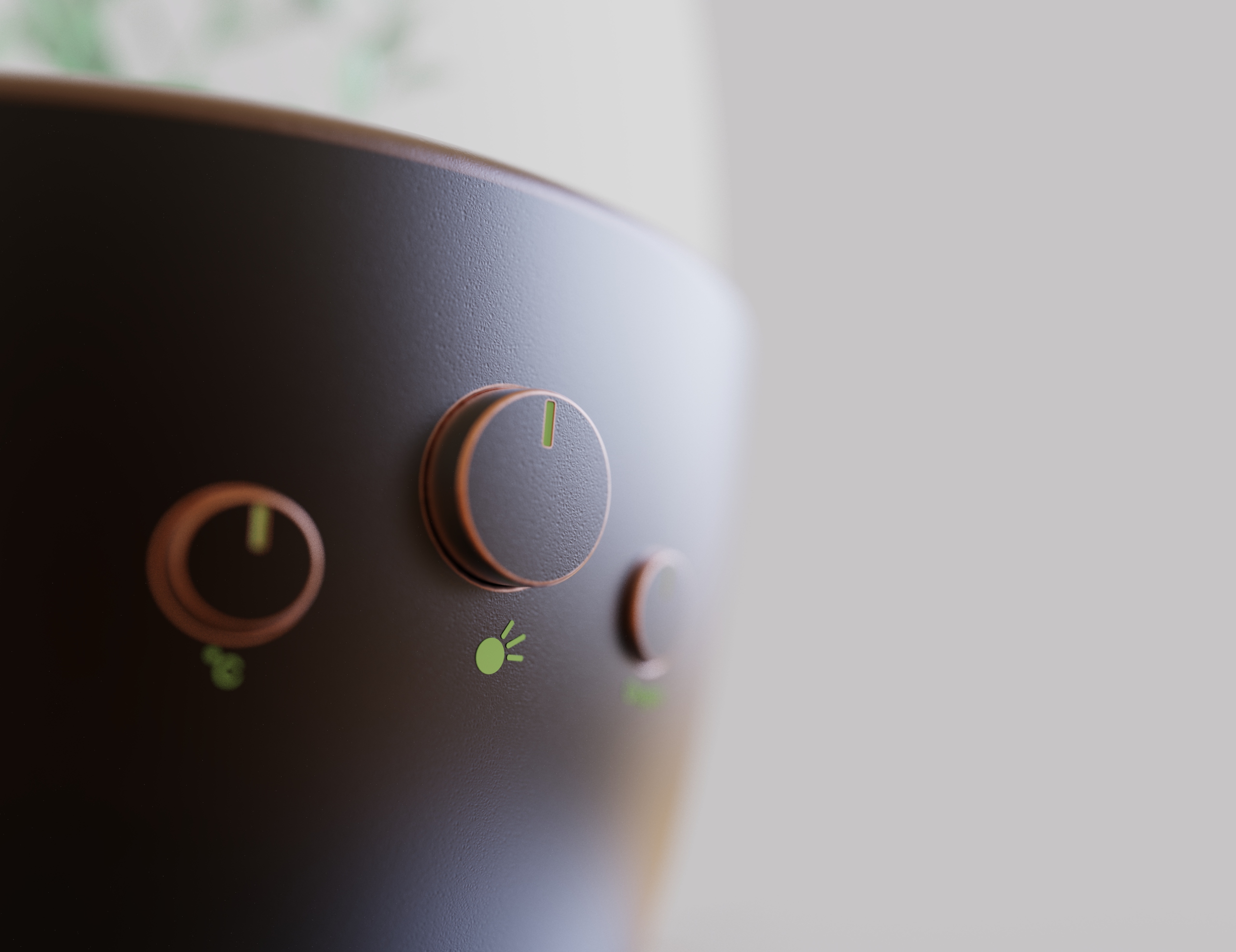 Home Furnishing，Space，Botany，