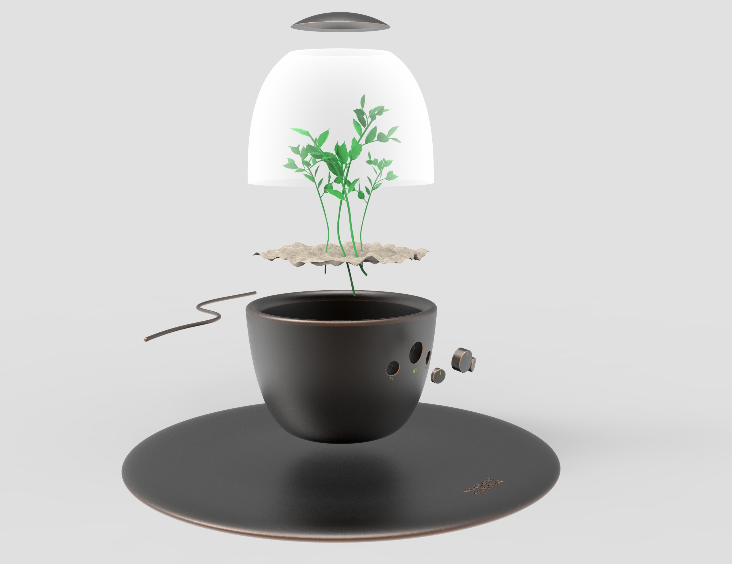 Home Furnishing，Space，Botany，