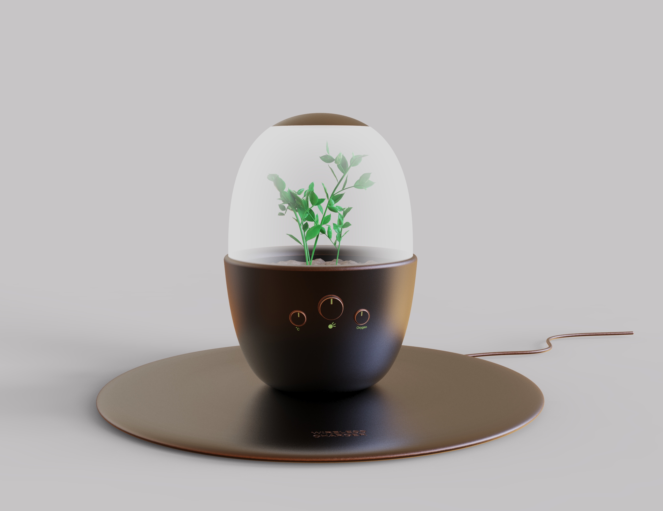 Home Furnishing，Space，Botany，