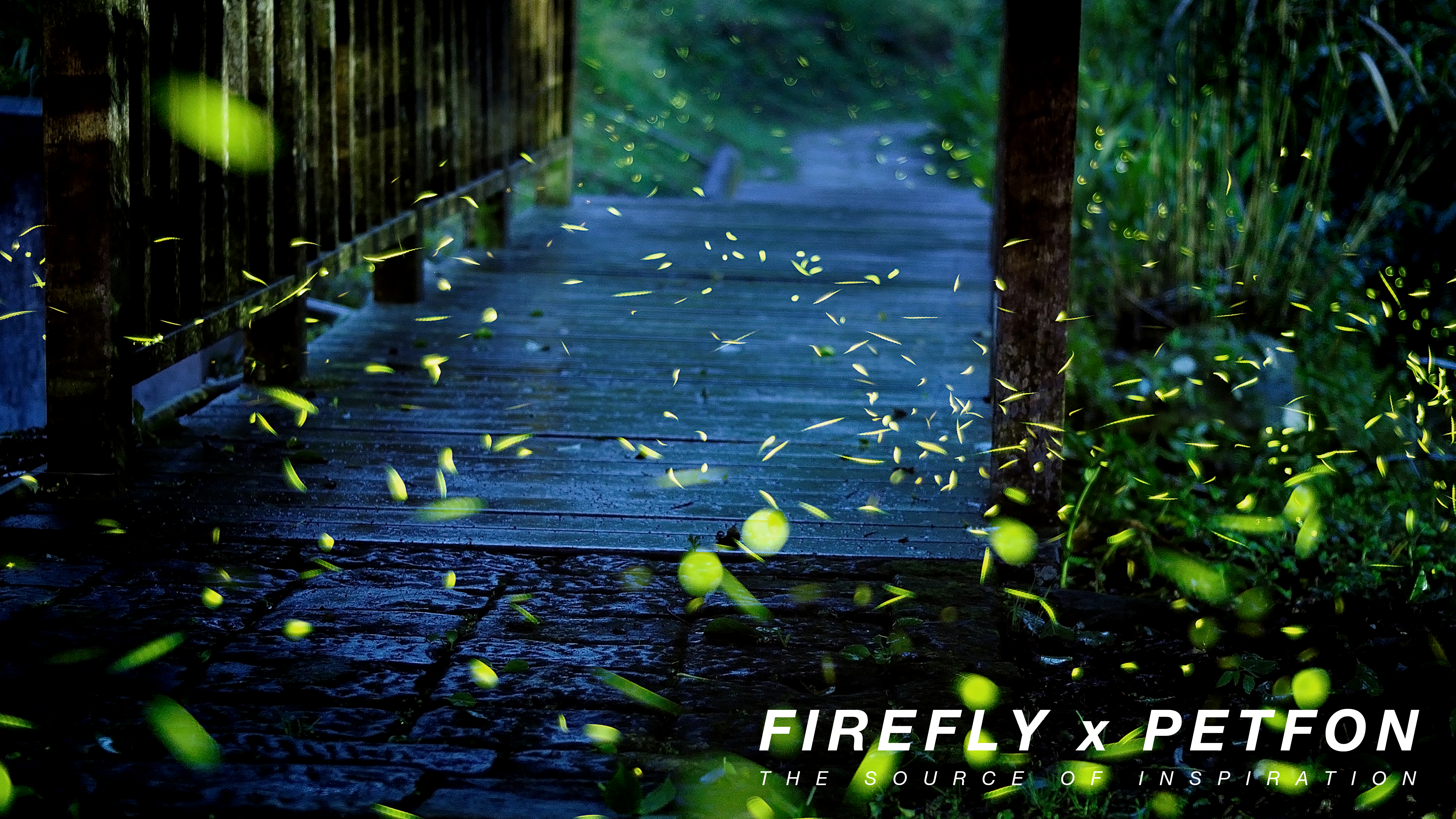 Pets，Wearable ，intelligence，Internet of things，