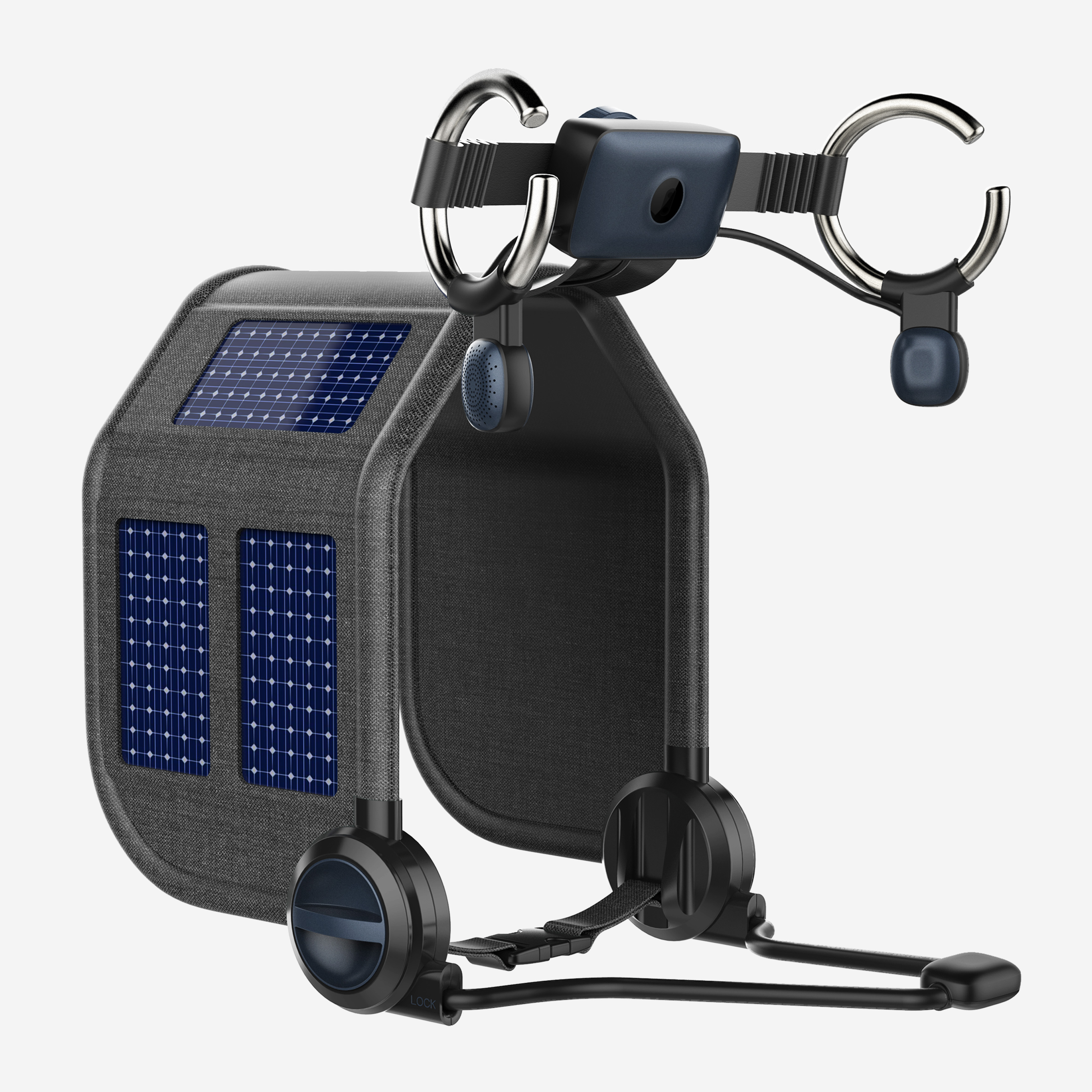 ecology，species，intelligence，IOT，