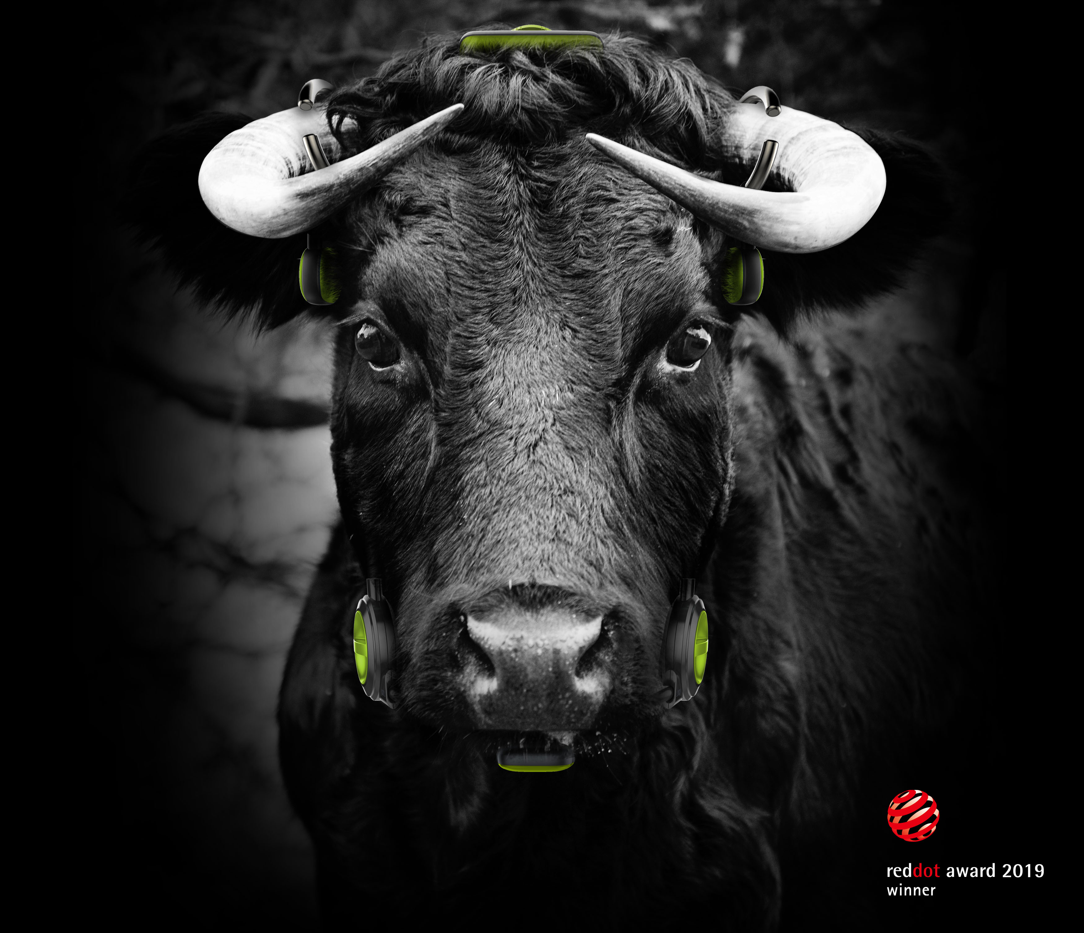 ecology，species，intelligence，IOT，