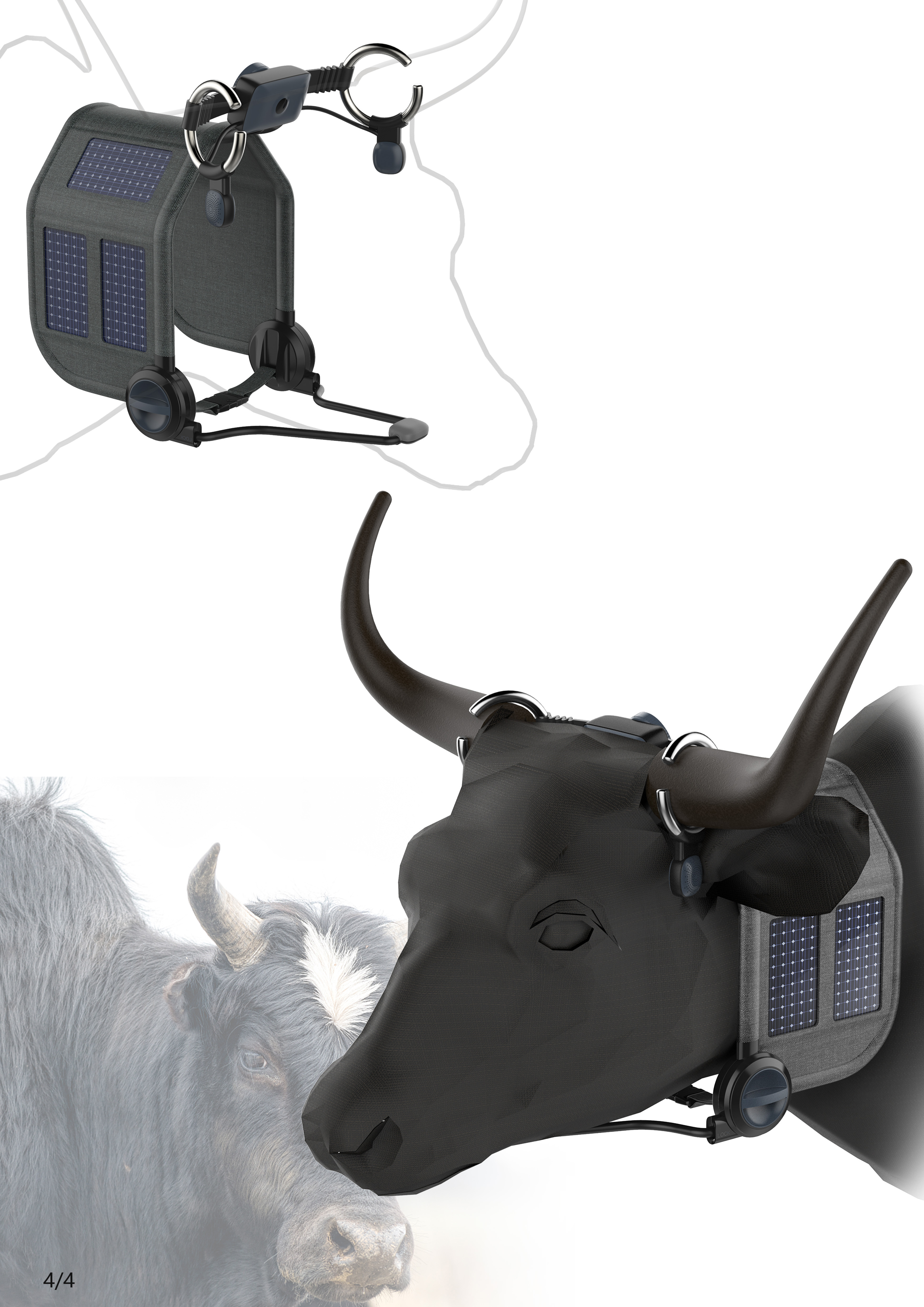 ecology，species，intelligence，IOT，