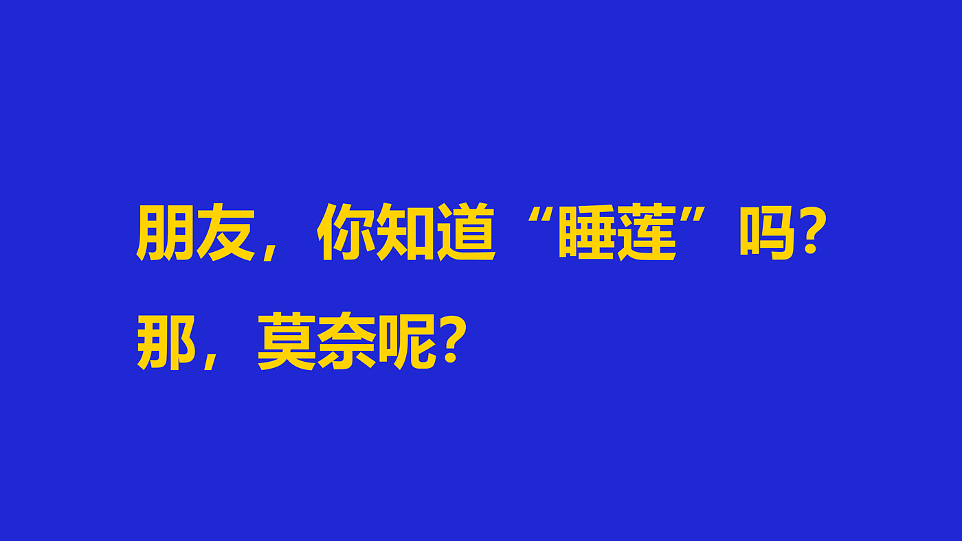 莫奈，睡莲顶灯，