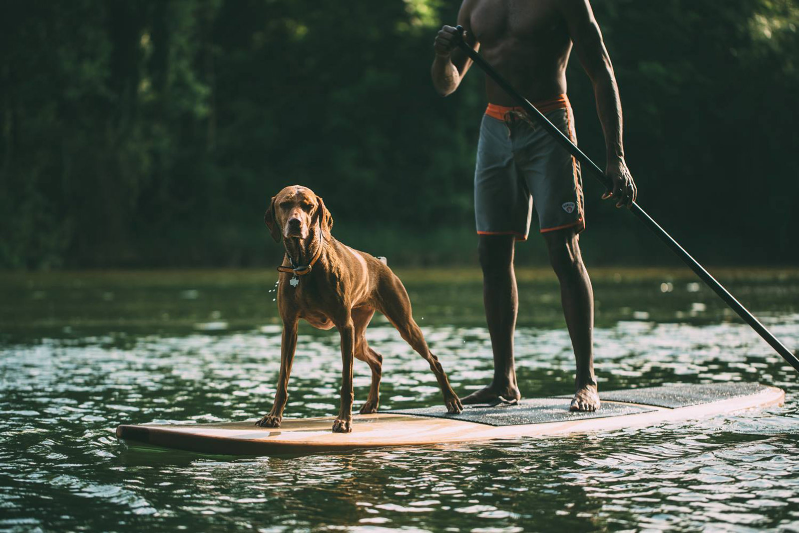 ship，vehicle，handicraft，wood，Simplicity，