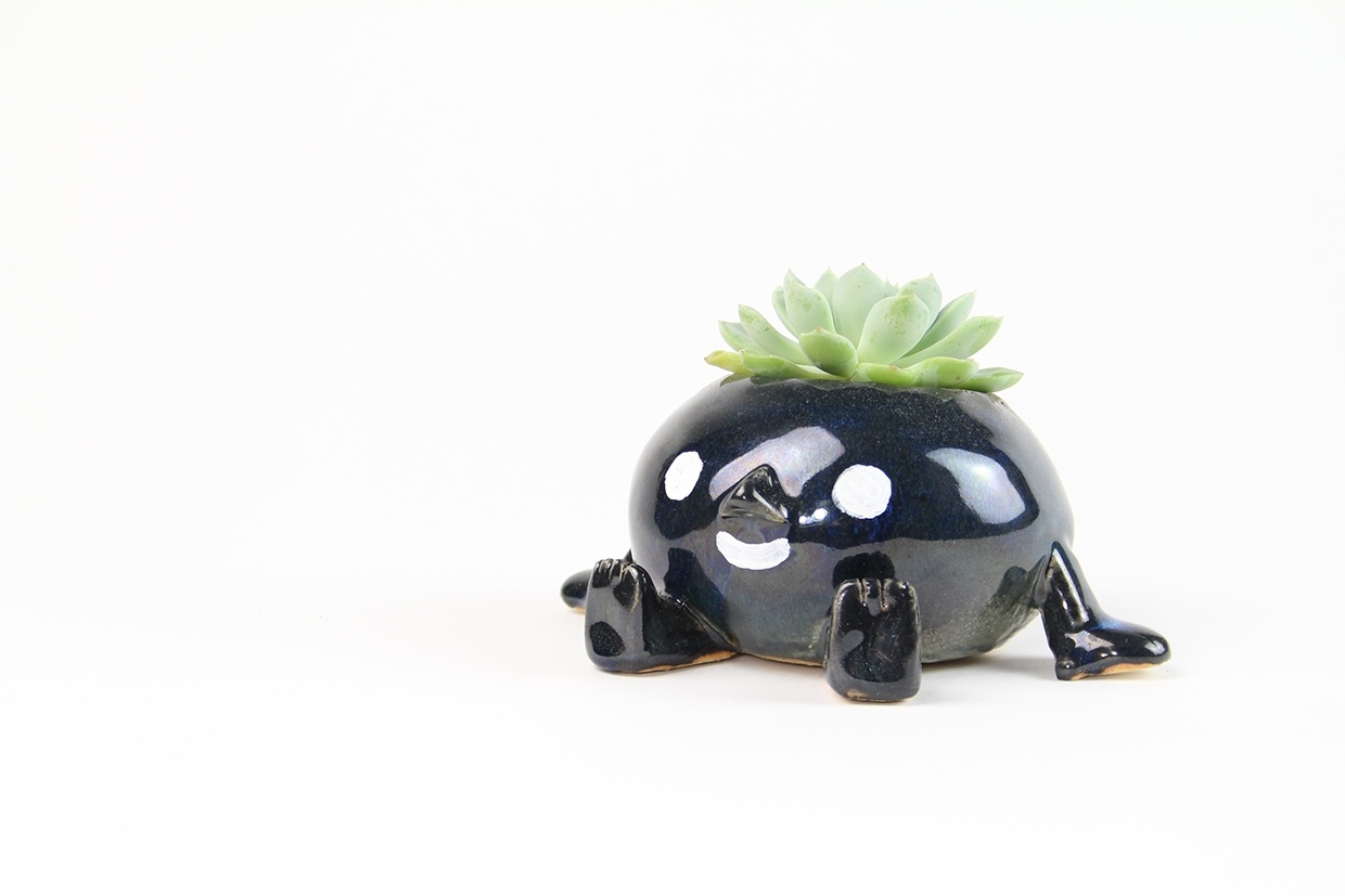 Home Furnishing，Flowerpot，Cartoon，ceramics，handicraft，